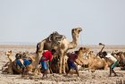 ethiopie.danakil.afar.sel.25