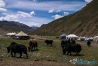 traversee.nepal.yeti.haut.dolpo.mustang.8