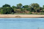 madagascar.trek.tsingy.bemaraha.approche.24