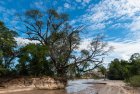 madagascar.trek.tsingy.bemaraha.approche.32