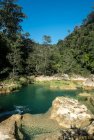 madagascar.trek.tsingy.bemaraha.approche.37