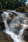 madagascar.trek.tsingy.bemaraha.approche.38