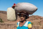 madagascar.trek.tsingy.bemaraha.approche.7