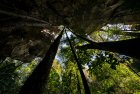 madagascar.trek.tsingy.parc.national.bemaraha.17