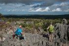 madagascar.trek.tsingy.parc.national.bemaraha.2