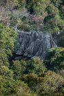 madagascar.trek.tsingy.parc.national.bemaraha.25