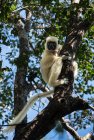 madagascar.trek.tsingy.parc.national.bemaraha.28