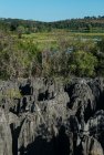 madagascar.trek.tsingy.parc.national.bemaraha.38