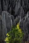 madagascar.trek.tsingy.parc.national.bemaraha.9