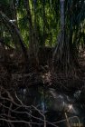 madagascar.trek.tsingy.bemaraha.11