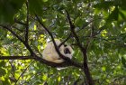 madagascar.trek.tsingy.bemaraha.23