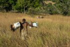 madagascar.trek.tsingy.bemaraha.34