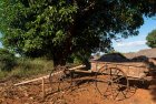 madagascar.trek.tsingy.bemaraha.4