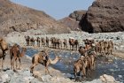 ethiopie.danakil.afar.caravanes.1