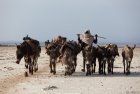 ethiopie.danakil.afar.caravanes.14