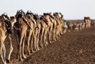 ethiopie.danakil.afar.caravanes.18