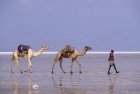 ethiopie.danakil.afar.caravanes.38