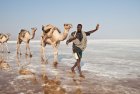 ethiopie.danakil.afar.caravanes.5