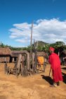 sakaleona.trek.madagascar.tanalana.zafimaniry.hauts.plateaux.75