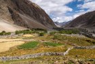 ladakh.nubra.trek.inde.25