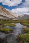 ladakh.nubra.trek.inde.30