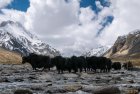 ladakh.nubra.trek.inde.33