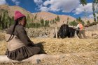 ladakh.nubra.trek.inde.49