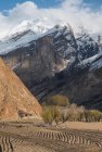 pakistan.mustagh.tower.telemark.baltoro.86