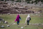 pakistan.nanga.parbat.mazeno.trek.4