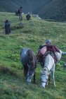 trek.saipal.api.himal.nepal.far.west.9