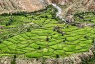 nepal.dolpo.rara.pho.saldang.charka.58