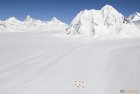 ski.telemark.hindukush.chiantar.glacier.chitral.borogil.pakistan.boiveau.laurent.65