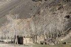 ski.telemark.hindukush.chiantar.glacier.chitral.borogil.pakistan.boiveau.laurent.75