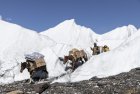 baltoro.gondogoro.trek.k2.braod.peak.mitre.gasherbrum.pakistan.boiveau.laurent.22