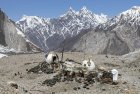 baltoro.gondogoro.trek.k2.braod.peak.mitre.gasherbrum.pakistan.boiveau.laurent.30