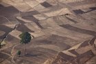 ethiopie.simien.structure.3