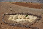 ethiopie.simien.structure.5