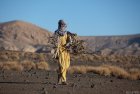 tchad.emi.koussi.28