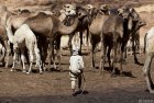 tchad.ennedi.archei.guelta.14