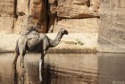 tchad.ennedi.archei.guelta.34