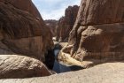 tchad.ennedi.archei.guelta.41