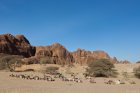 tchad.ennedi.aloba.37