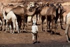 tchad.ennedi.bachika.la.14