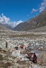 ladakh.leh.dharamasala.19