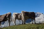 dolomites.via.alta.1.8