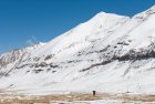 nepal.ghami.pass.dolpo.mustang.36