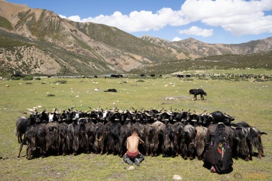 nepal.haut.dolpo.rara.bhijjer.pho.ultime.trek.1