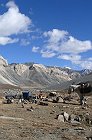 Le Ladakh autrement  Septembre 2011...
