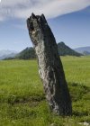 De l'Altaï russe aux steppes de Mongolie, Août 2014