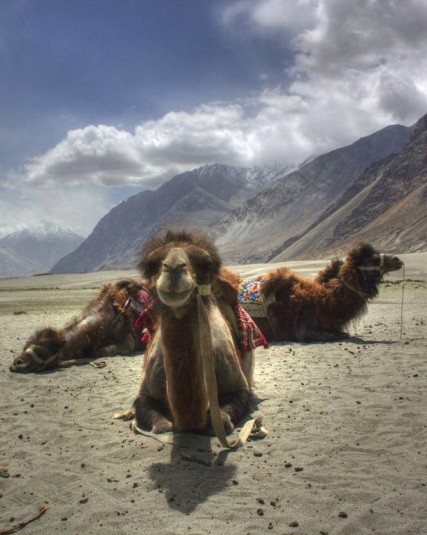 trek.nubra.2